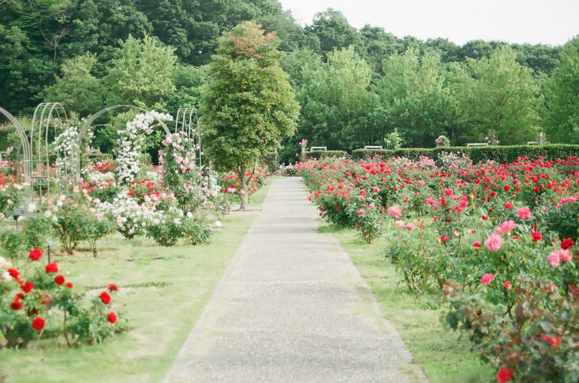Secret Garden Soiree
