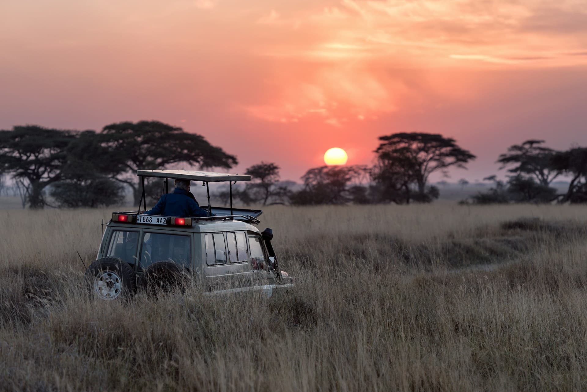 Destination Spotlight: Safari Luxury