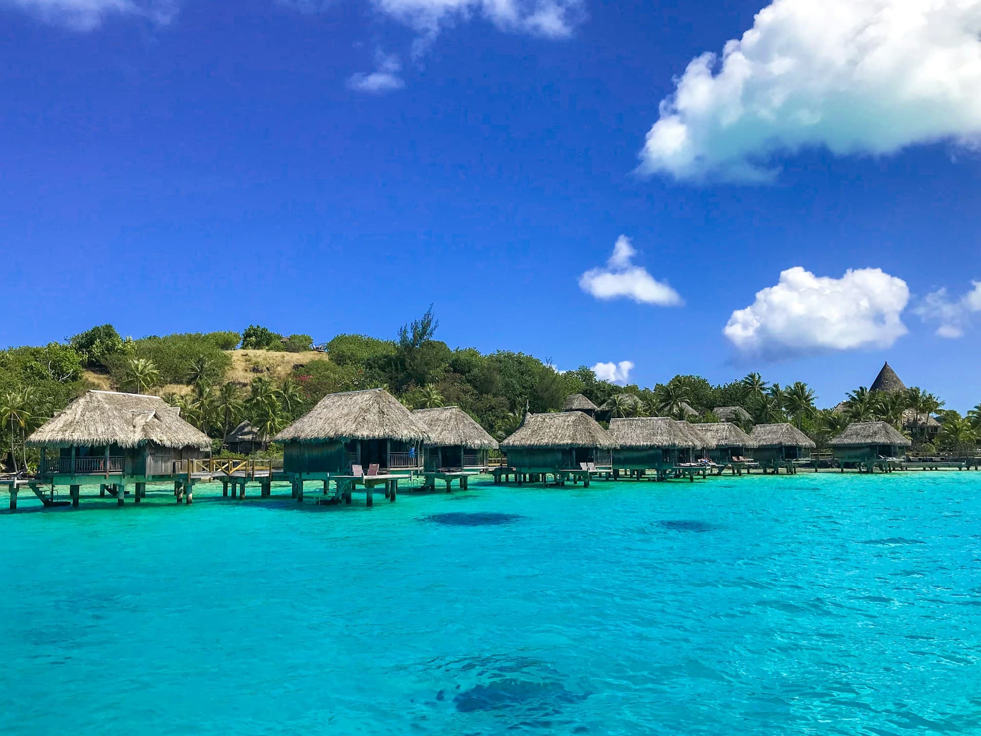 Bora Bora - Opulent Decor and Events
