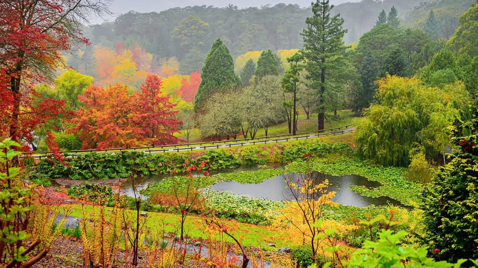 Adelaide Hills