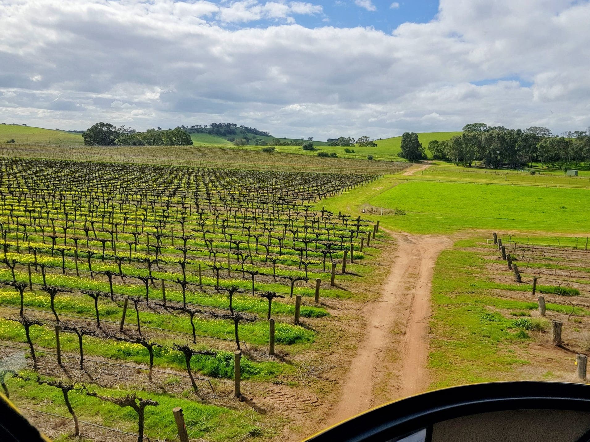 Barossa Valley