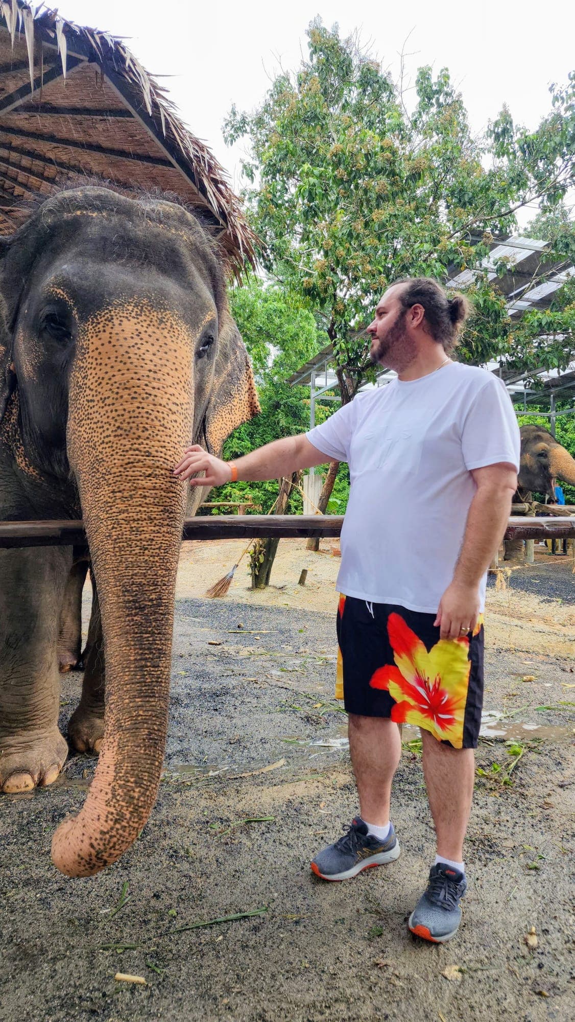 Thailand Elephant Sanctuary